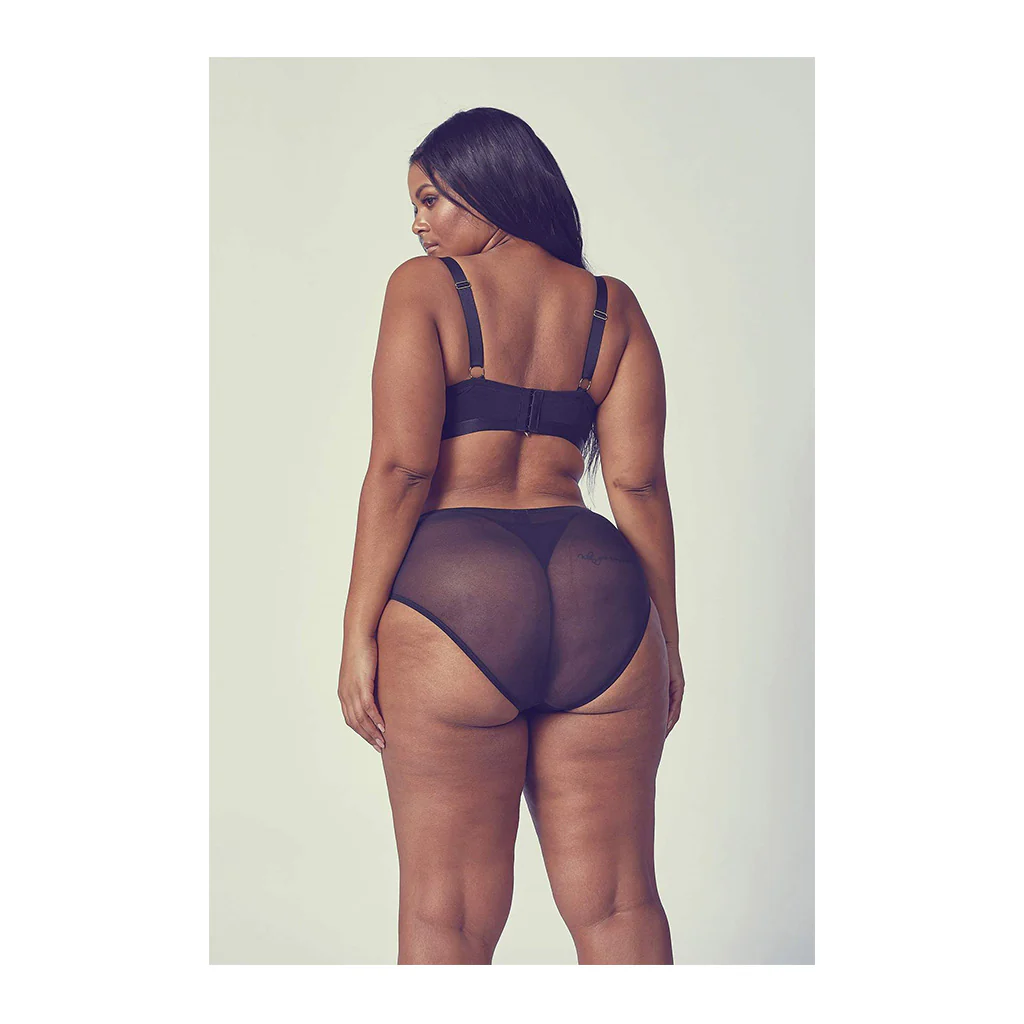 Playful Promises Gabi Fresh Fernanda High Waist Lace & Mesh Brief - Image 3